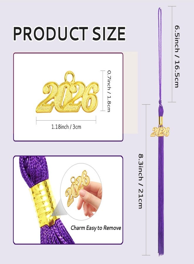 Nelisylux 2026 Tassel Graduation, Purple Graduation Tassel, Tassel Charms for Graduations Cap Decorations, Tassels Memorial Grad Cords for Class of 2026 College High School Graduate Hat Ceremonies Accessories - Image 2